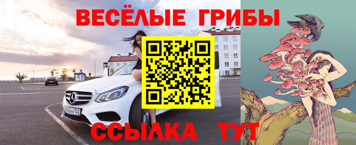 Псилоцибиновые грибы прущие грибы Севастополь